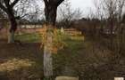 Vanzare Case / Vile 5 Camere P Central - 3