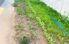 Vilă 5 Camere | Green Residence Tunari | 0% Comision - 25