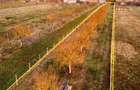 RECO Teren intravilan construbil 5342 mp-  sat.Hotar - 5