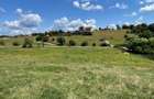INVESTIȚIE | Teren 5000 mp PUZ APROBAT intravilan - zona Sohodol -Bran - 9