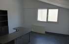 Hala pentru depozitare/productie, 810mp, zona Bulgaria - 6