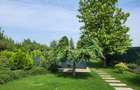 Dimineți pe ponton, seri la piscină – viața la Snagov - 12