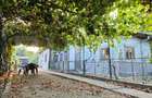 Casă individuala, 90 mp, teren 1.000 mp – zona Odobești, Dâmbovița - 19