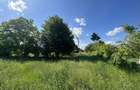 Teren intravilan de vanzare | 11.000 mp | Ghirdoveni | Comision 0% - 12
