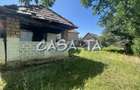 Casa 4 Camere, Parter, Runcu - Baltisoara - 18