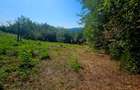 Teren intravilan 2322 mp, Păcuri – vedere superbă spre pădure! - 5