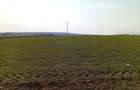 Teren de vanzare in Biharia, cu o suprafata de 20000 mp intravilan - 1