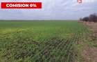 Comision 0% Teren extravilan agricol 21,32 ha sau intravilan cu PUZ aprobat - 14