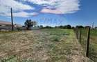 Teren 4,900mp intravilan Bizighesti - 5