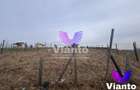 Teren intravilan pregatit pentru constructie 650 mp | Cisnadie - 3