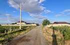 Teren de vanzare intravilan - sat Islaz Comuna Branesti - toate utilitatile - 7