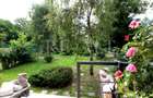 Vanzare casa, vila 10 camere | 3.265mp teren, Finisare Premium | Breaza, Prahova - 6