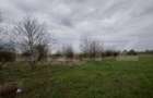 Teren intravilan, 3515 mp, zona Crevedia - 8