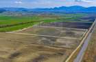 Teren 9,2 Ha Bod |Logistic / Industrial| Doar 5€/mp| Comision 0% - 7