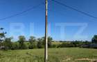 Teren intravilan de vânzare în Bicăcel, comuna Lăzăreni – 2.877 mp - 1