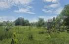 Proprietate de vanzare, teren 5488 mp, localitatea Ambud, comuna Paulesti - 9