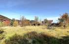 Teren Intravilan Bunloc - 9