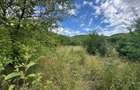 Teren intravilan, 3694 mp., zona Primaria Bocsa, COMISION ZERO% PT. CUMPARATOR. - 4