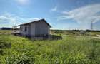 Casa parter, 85 mp utili, 402 mp teren, zona Isalnita - 2