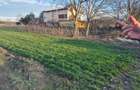 Vand teren in Tintava cu deschidere la PADURE (Gradinari, Giurgiu) - 5