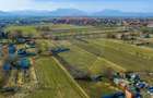 Pret imbatabil in zona: Teren Intravilan 5.000 mp Prejmer - 6