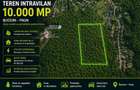 Oportunitate Investite: 10.000 mp in Inima Naturii,Bucium Paun - 1