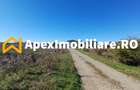 Corbeanca - Tamasi | Teren 1225mp, deschidere 44ml | Utilitati la 50m - 3