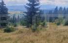 Teren extravilan de vanazre, 42.152 mp, zona Saru Dornei