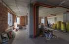Spatiu comercial 174 m2 Buna Ziua - 4