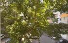 Apartment 4 camere de vanzare | Sebastian- Salaj | 109mp - 20