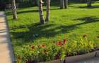 Vila zona Iancu Nicolae - 4