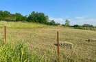 Teren intravilan 1529mp Valea Lupului zona de case la 1,3km de europeana - 7