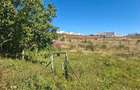 Teren de vanzare in zona Borhanci - Colonia Sopor - 4