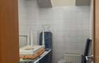 Vila cu 10 camere, de vanzare in Chisoda - ID V3322 - 43