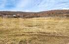 Teren intravilan 4100 mp în Florești | Parcelabil | Zonă de pădure - 2