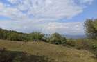 Teren  42,200 mp (4,22 hectare)-Parcelabil-investitie-Valea Jelnei - 4