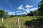Teren intravilan de vânzare – 2.281 mp | Sibișel-Râu de Mori | View deosebit - 1