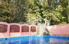 VILA D+P+E+M, 12 camere, piscina , padure, IANCU NICOLAE - 30