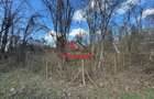 Teren intravilan in Campina--1565 mp--35.000e - 10