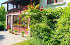Vila P+1+5600 mp teren, proprietate de 5 km de oras - 1