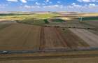Vând teren agricol la șosea de 30.000mp în Iazurile comuna Valea Nucarilor 