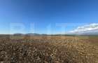 Teren extravilan agricol 5700 mp, Cristur - 3