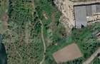 Casă P+1+M, 300 mp, teren 10000 mp, comuna Mihaesti - 1