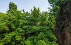 Apartament 2 camere Brancoveanu, Spitalul Marie Curie, decomandat, etaj 3/4 - 12