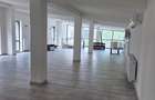 Spațiu comercial P+1, 391.5 mp, dublă deschidere, zona Bals - 9