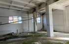 Vanzare sau inchiriere Cladire cadre beton  743 mp Movila Miresii teren 7354 mp - 3