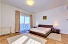 Apartament tip penthouse Primaverii - 2