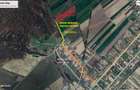 Teren, loc de casă, vânzare 3500 mp Cornesti-Bălești-Gorj, 2 euro mp - 1