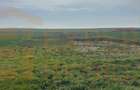 Teren intravilan 10.000 mp | DN | Zona Volvo - Hala Neagră - 9