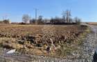 Parcele de 1000 mp-panoramic-ideal investitie-Sigmir - 3